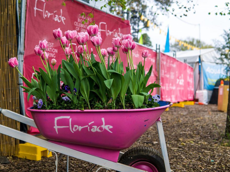 Eine Schubkarre in der Tulpen gepflanzt sind. Auf der Schubkarre steht "Floriade".